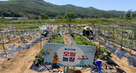 ‘리틀 포레스트 팜 운영 지원사업’ 체험자 추가 모집