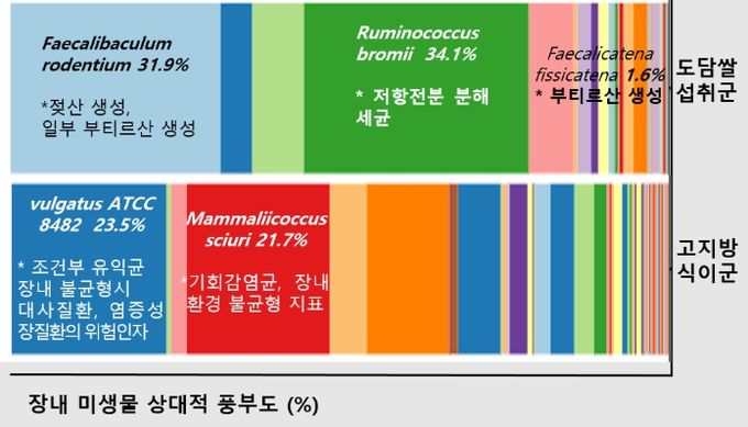 도담쌀 섭취에 따른 실험군 장내 미생물 조성